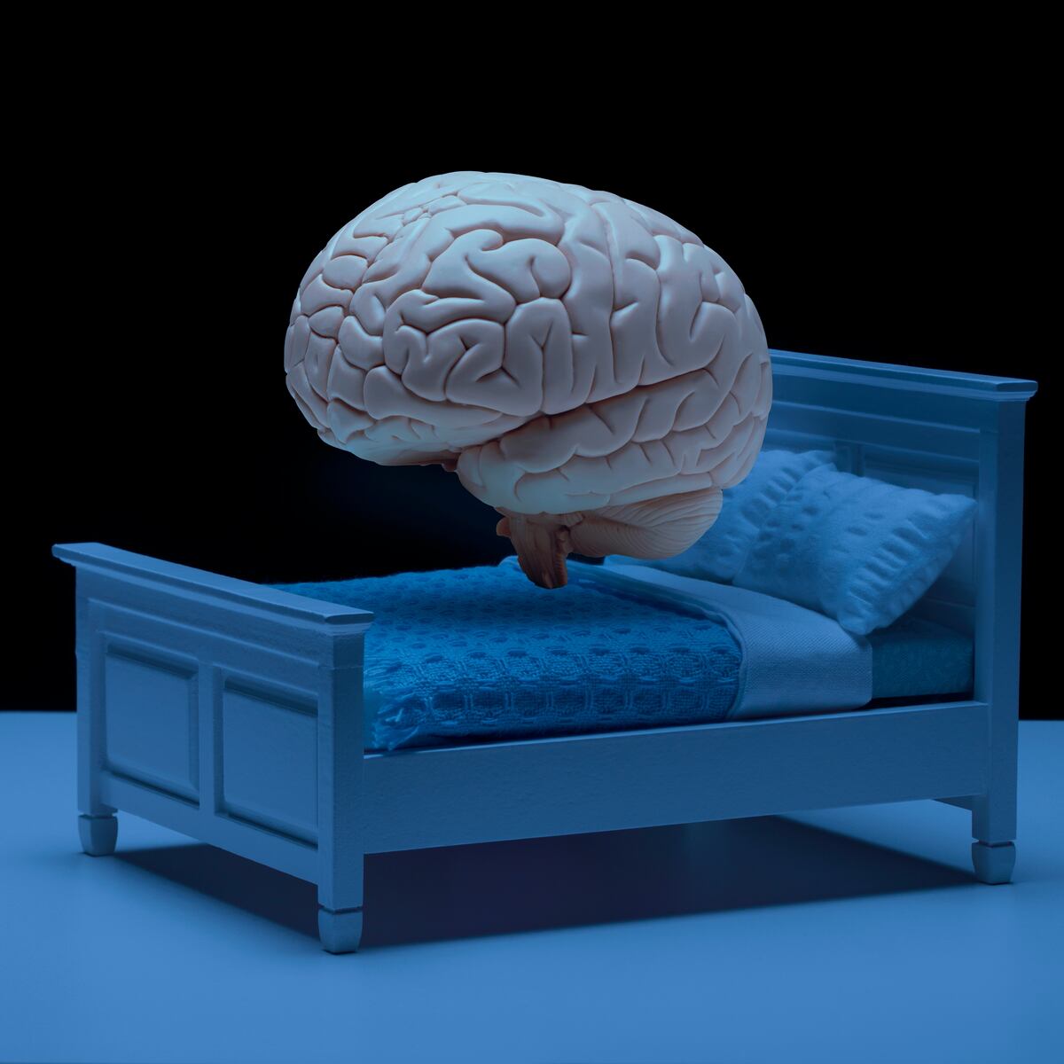 image preview(placeholder)