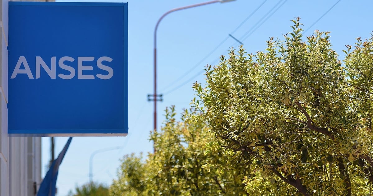Los titulares de DNI terminado en 2 percibirán sus haberes de ANSES entre el 9 y el 26 de octubre
