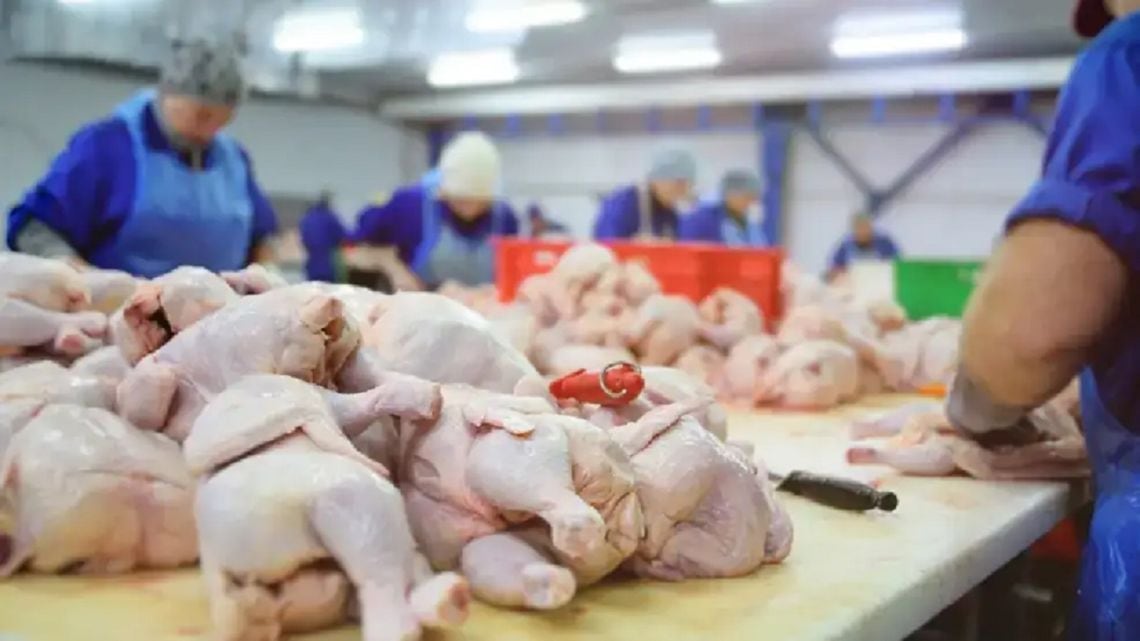 El pollo desplaza a la carne vacuna del primer puesto en la mesa argentina: 47 kilos por habitante contra 46,7