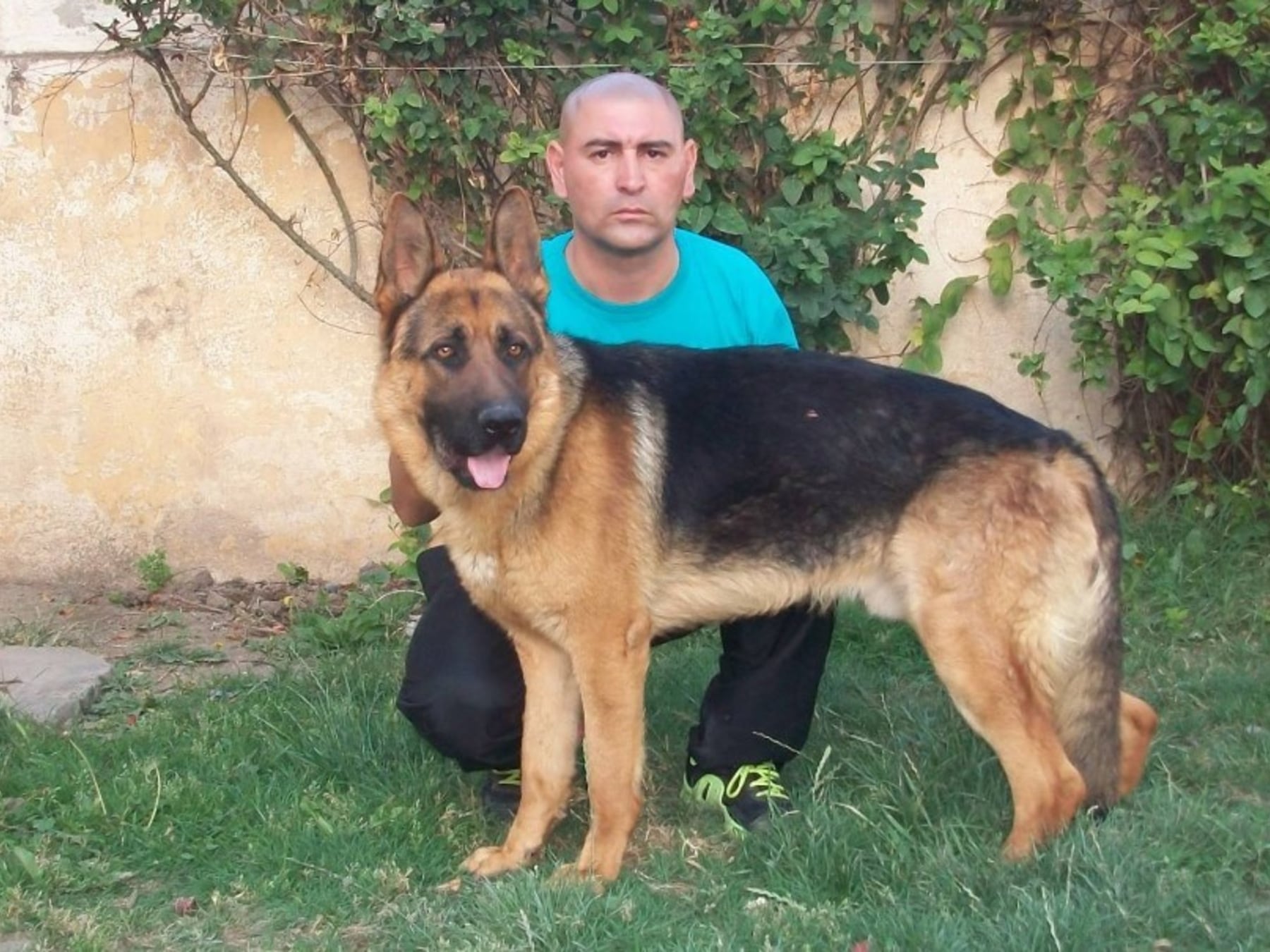 A juicio el adiestrador del caso Araceli Fulles por presuntas pruebas plantadas con sus perros
