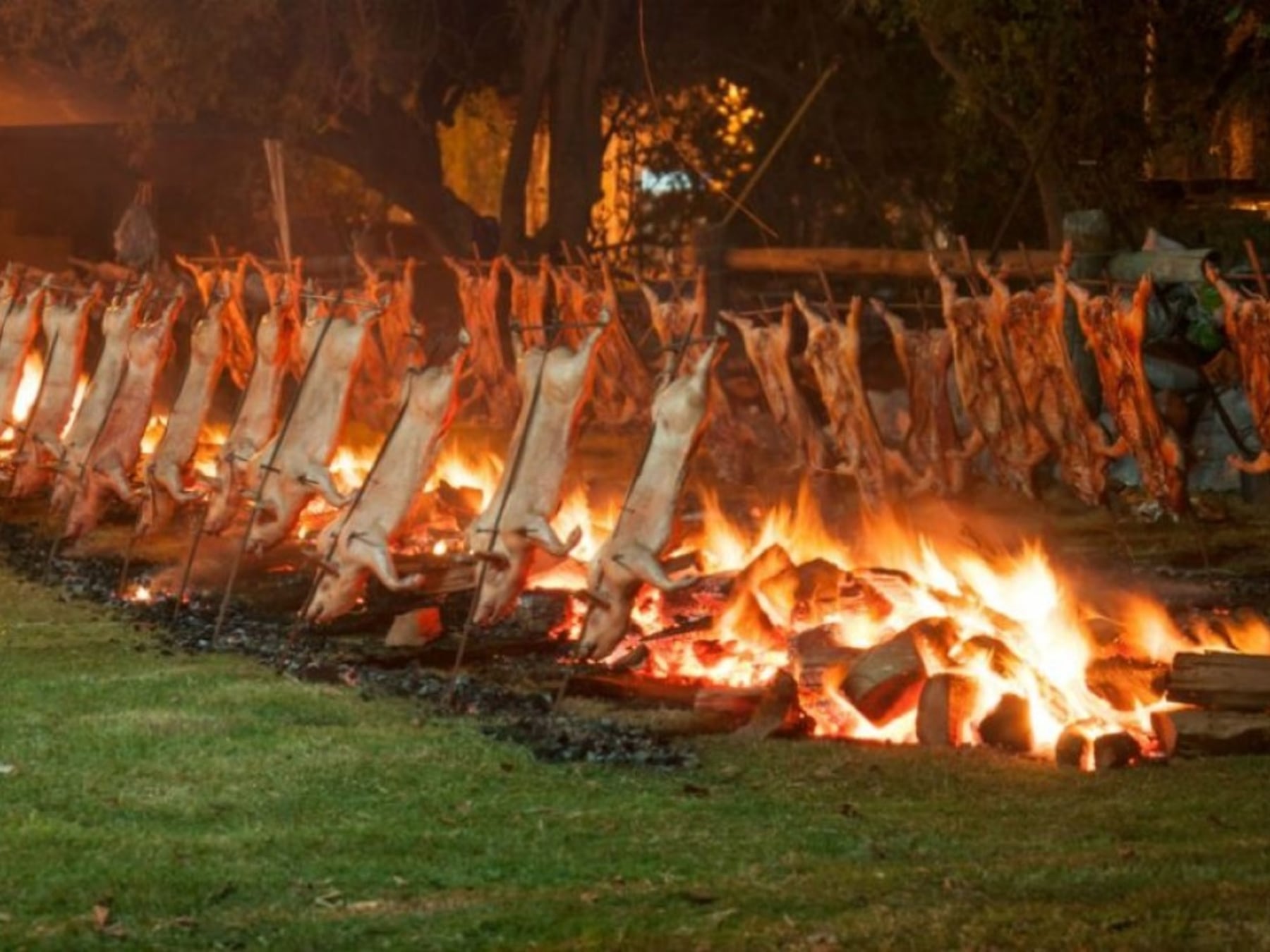 Del Delta a la costa: cinco fiestas para estirar el feriado largo sin irse de la provincia