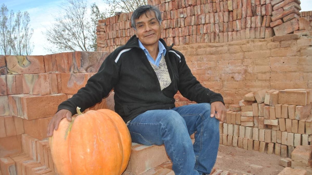 Mariano Moreno abre las puertas de la segunda edición del concurso Ciudad Zapallo y vuelve a regalar semillas