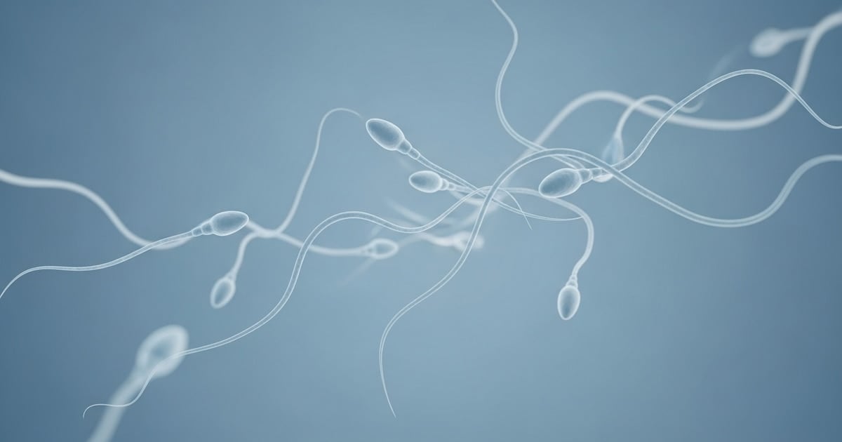 Una ventana abierta a la paternidad: el primer autotrasplante de tejido testicular en el Reino Unido reaviva la esperanza de un joven argentino del futuro