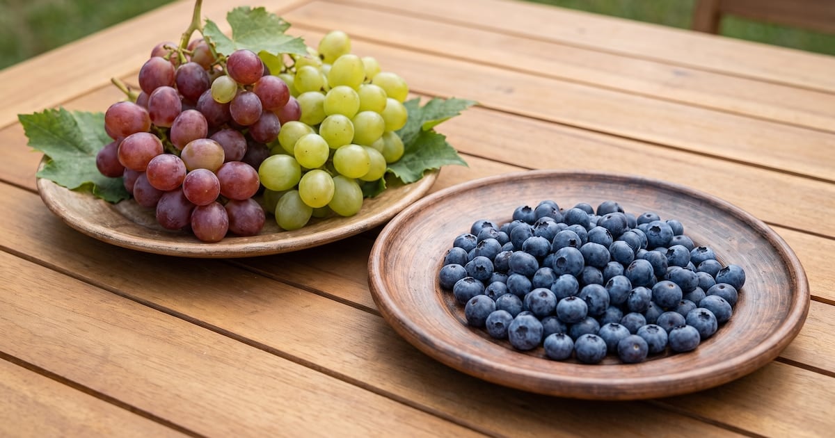 Arándanos contra uvas: la pulseada silenciosa que se juega en cada bocado