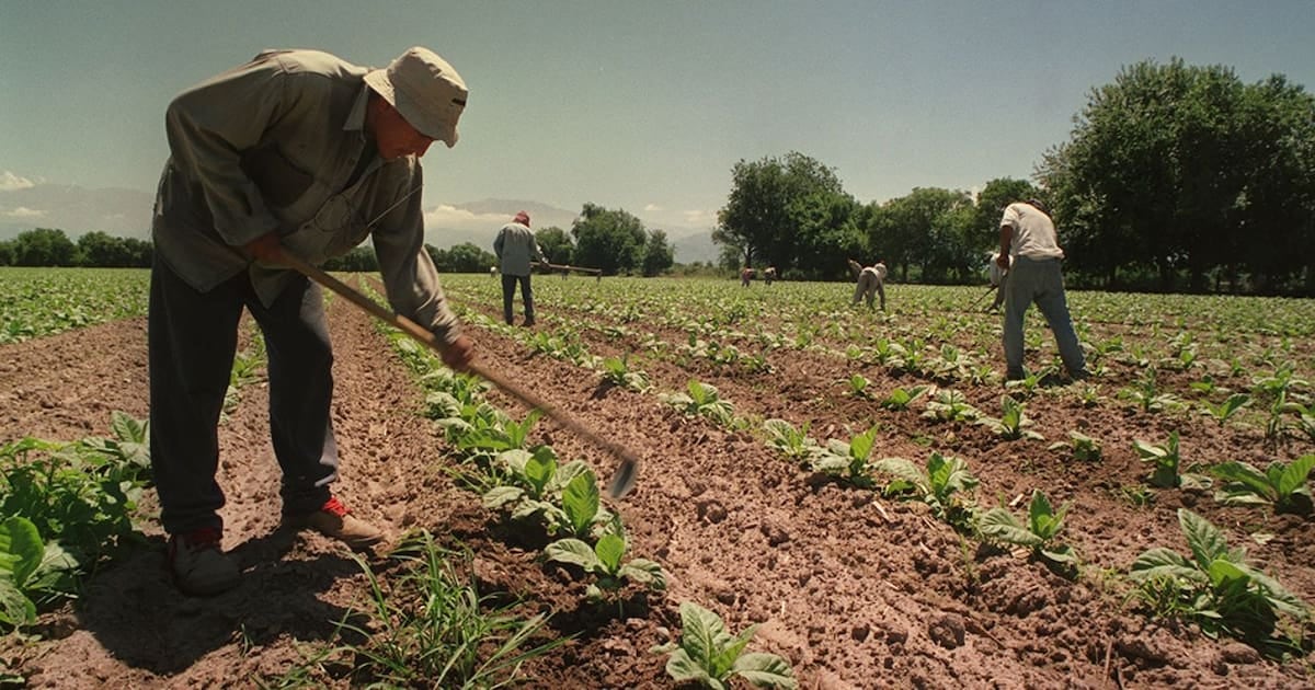 El régimen que blinda asignaciones familiares en el campo extiende su vigencia por doce meses