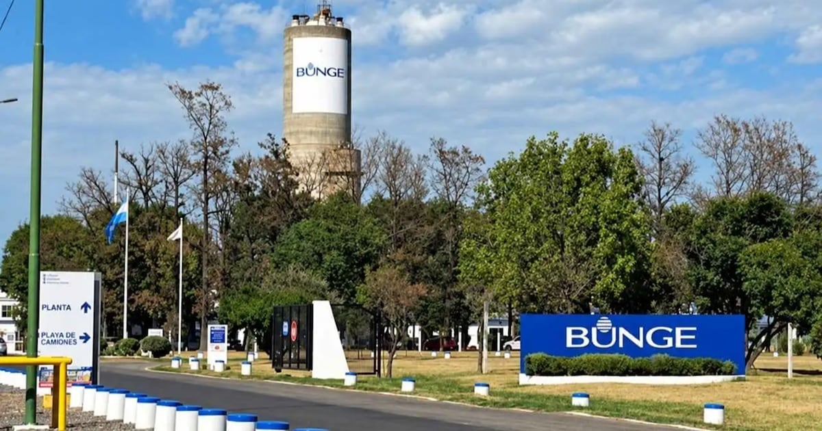 Campana: cesa la producción de insumos para fertilizantes y habrá 110 despidos